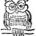Greyowl55
