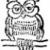 Greyowl55